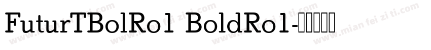FuturTBolRo1 BoldRo1字体转换